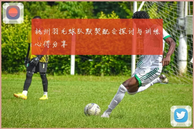 杭州羽毛球队默契配合探讨与训练心得分享