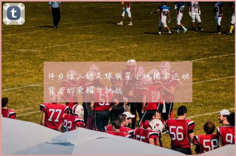评分惊人的足球明星小说揭示运动背后的荣耀与挑战