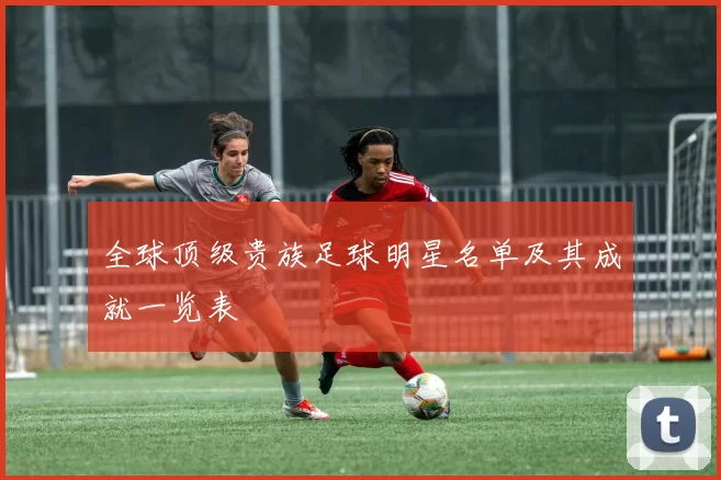 全球顶级贵族足球明星名单及其成就一览表