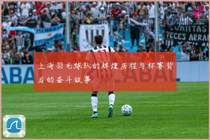 上海羽毛球队的辉煌历程与杯赛背后的奋斗故事