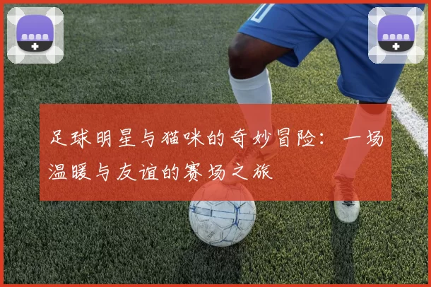 足球明星与猫咪的奇妙冒险：一场温暖与友谊的赛场之旅