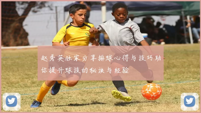 赵秀英独家分享排球心得与技巧助你提升球技的秘诀与经验