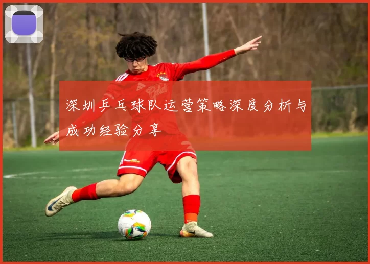 深圳乒乓球队运营策略深度分析与成功经验分享