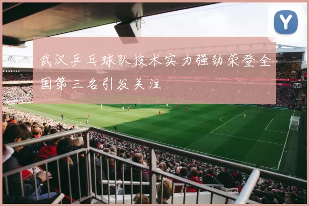 武汉乒乓球队技术实力强劲荣登全国第三名引发关注