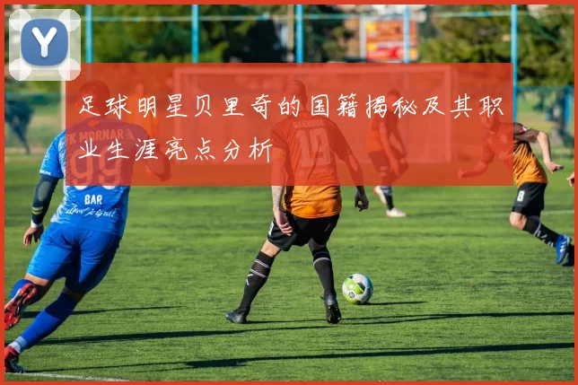 足球明星贝里奇的国籍揭秘及其职业生涯亮点分析