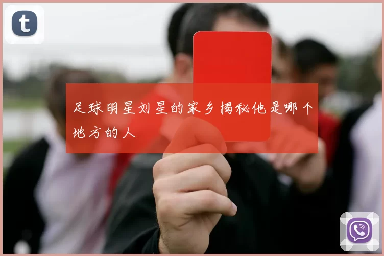 足球明星刘星的家乡揭秘他是哪个地方的人