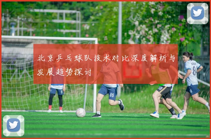 北京乒乓球队技术对比深度解析与发展趋势探讨
