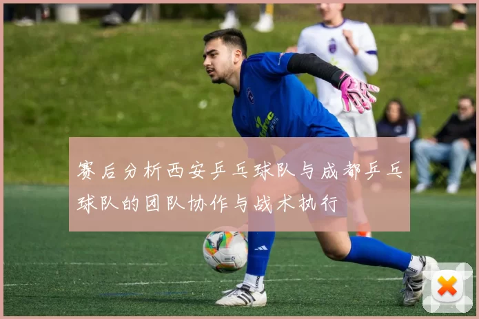 赛后分析西安乒乓球队与成都乒乓球队的团队协作与战术执行