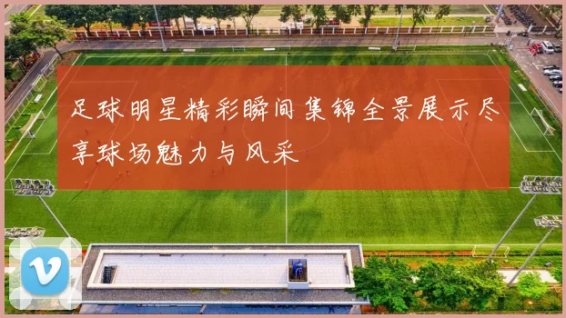 足球明星精彩瞬间集锦全景展示尽享球场魅力与风采