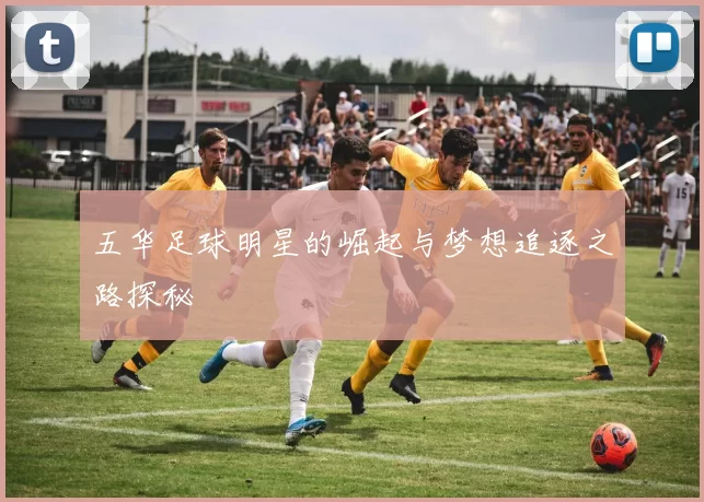 五华足球明星的崛起与梦想追逐之路探秘